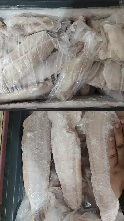 Produk dari supplier nadakrsm — Seafood & Daging