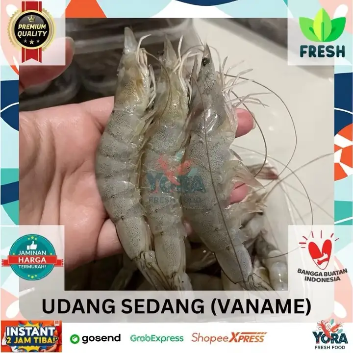 Foto produk 5 dari supplier darafauziw
