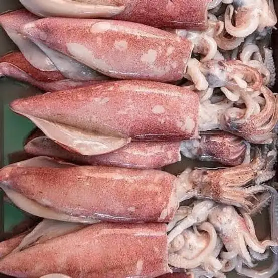 Foto produk 7 dari supplier darafauziw