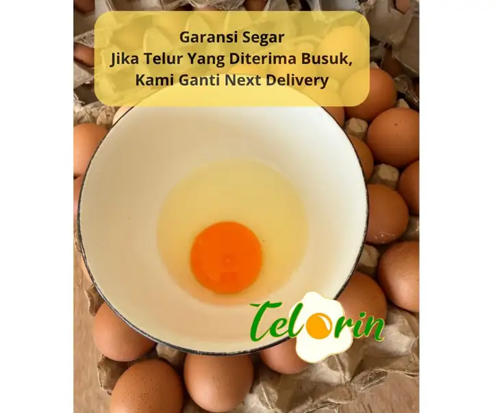 Foto produk 3 dari supplier nanaarchieve