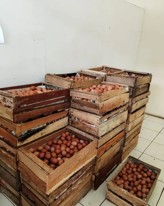Produk dari supplier imamiswahyudii — Hasil Tani & Buah
