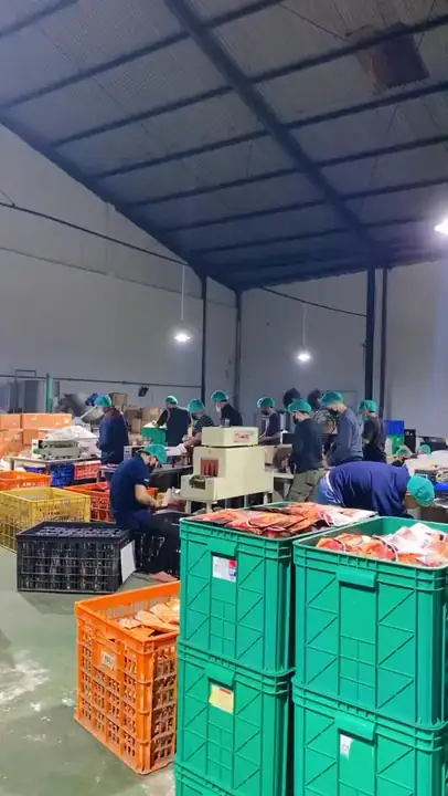 Produk dari supplier nurazizahdk — Umum / Lainnya