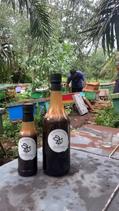 Produk dari supplier waleed.kelulut — Herbal & Kesehatan