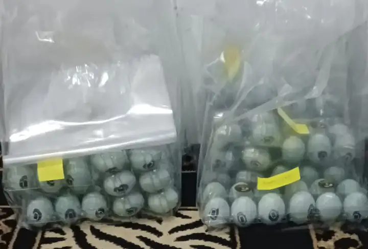 Foto produk 4 dari supplier k155nr