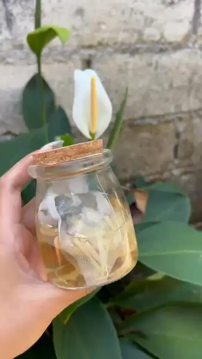 Foto produk 3 dari supplier bagus.suryanata