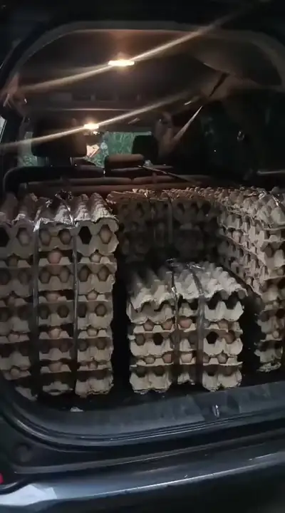 Produk dari supplier andrysuryana — Hasil Tani & Buah