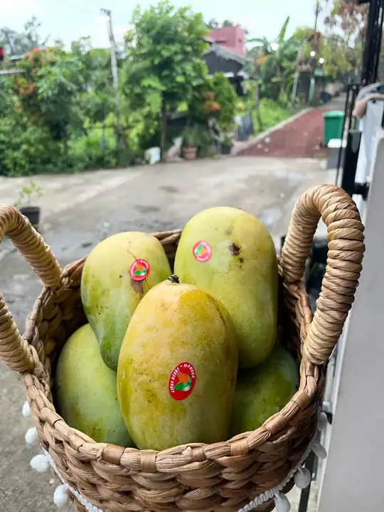 Produk dari supplier aslamamanullah — Hasil Tani & Buah