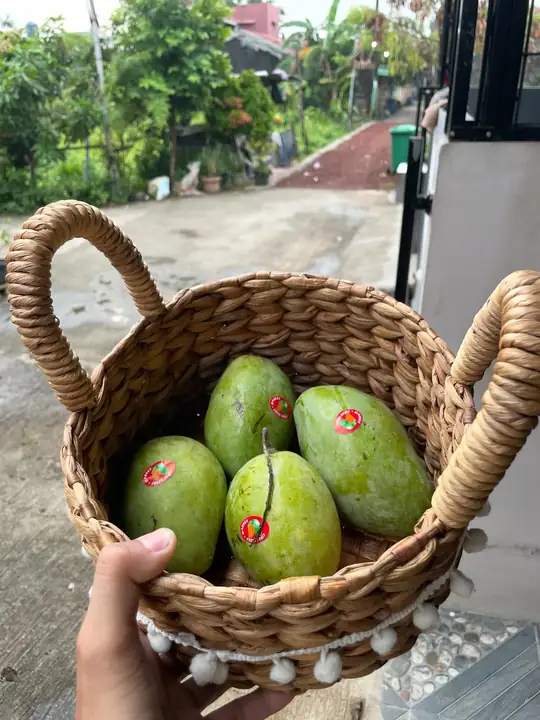 Foto produk 2 dari supplier aslamamanullah