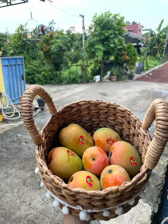 Foto produk 5 dari supplier aslamamanullah
