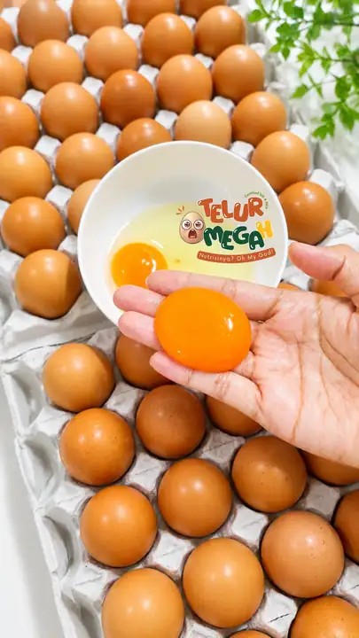 Produk dari supplier teluromegah — Hasil Tani & Buah