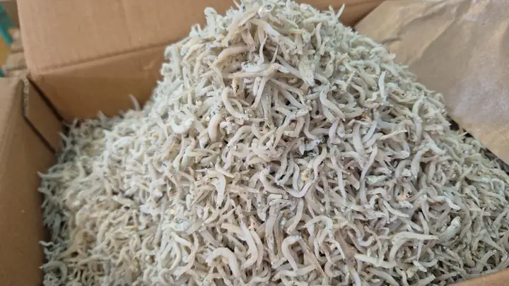 Produk dari supplier saviraannatasyaa — Seafood & Daging