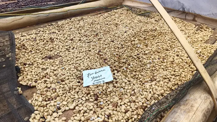 Produk dari supplier joe_rich85 — Minuman & Kopi