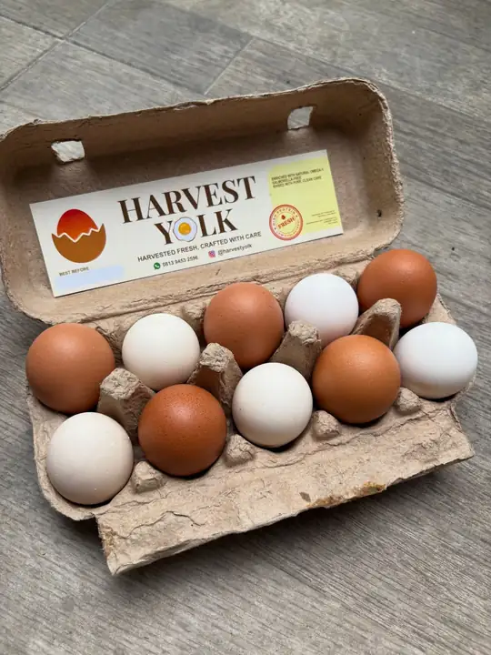 Foto produk 5 dari supplier harvestyolk