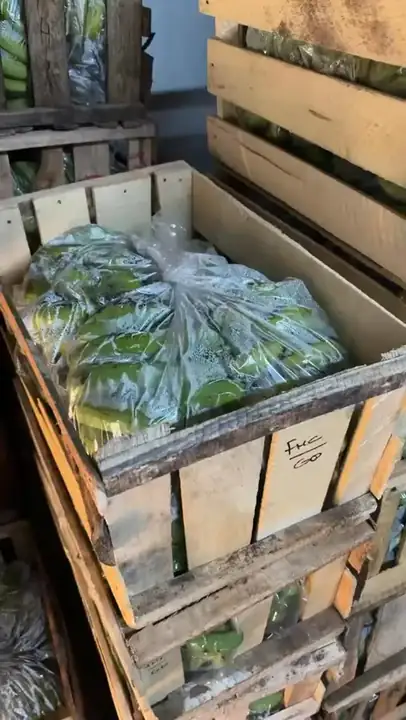 Produk dari supplier dyaahnvss — Hasil Tani & Buah