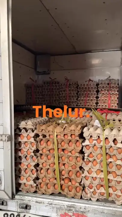 Foto produk 2 dari supplier thelur.id