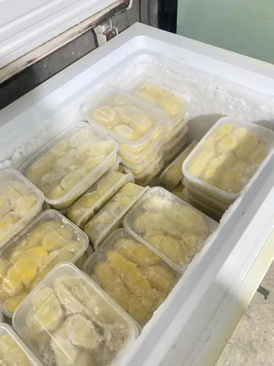 Produk dari supplier queensa1008 — Hasil Tani & Buah